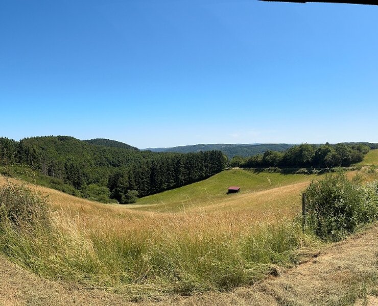 Ausblick vom Panoramaweg