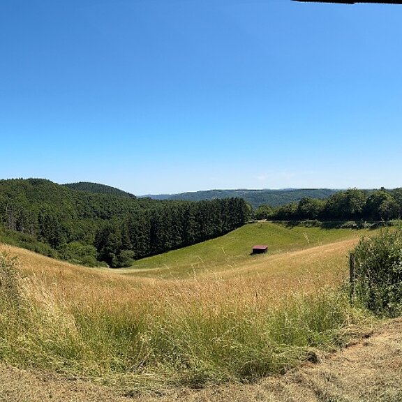 Ausblick vom Panoramaweg