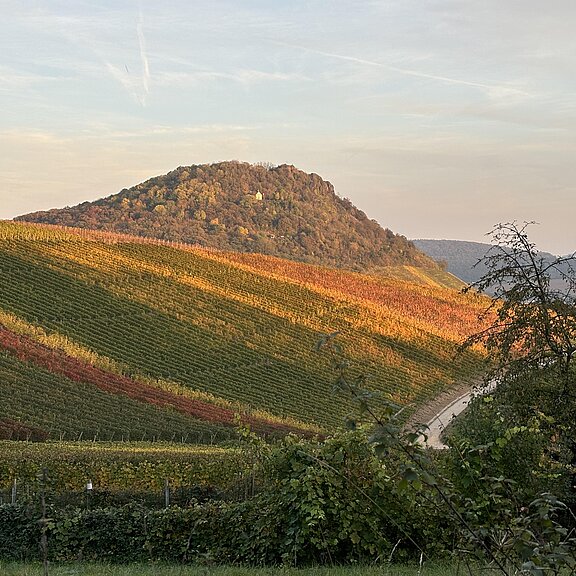 Aussicht Rundgang Heppinger Berg