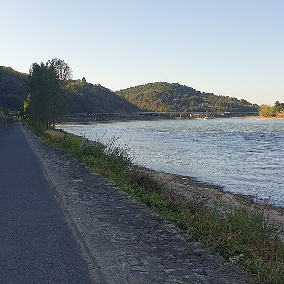 Rheinradweg gegenüber von Unkel