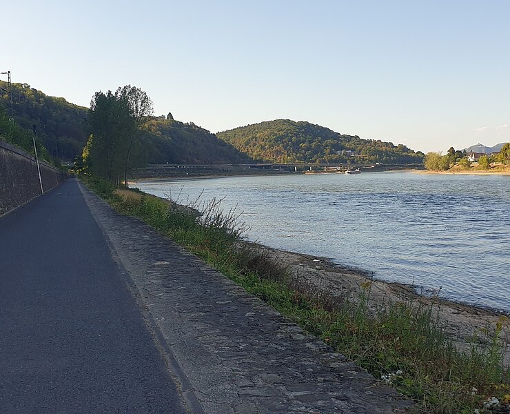 Rheinradweg gegenüber von Unkel