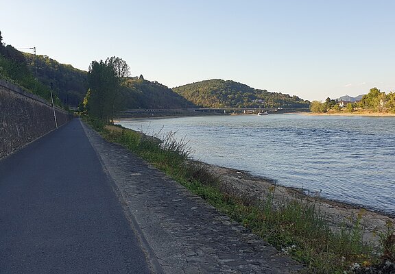 Rheinradweg gegenüber von Unkel
