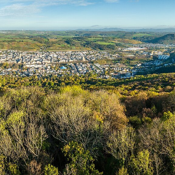 Blick über den Neuenahrer Berg