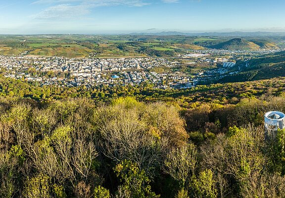 Blick über den Neuenahrer Berg