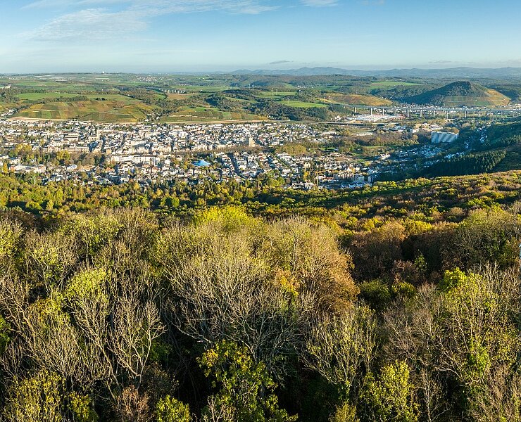 Blick über den Neuenahrer Berg