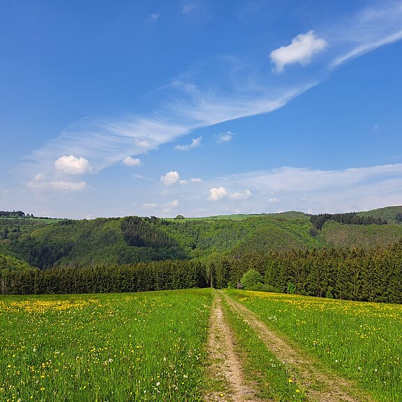 Wandern direkt ab der Haustür
