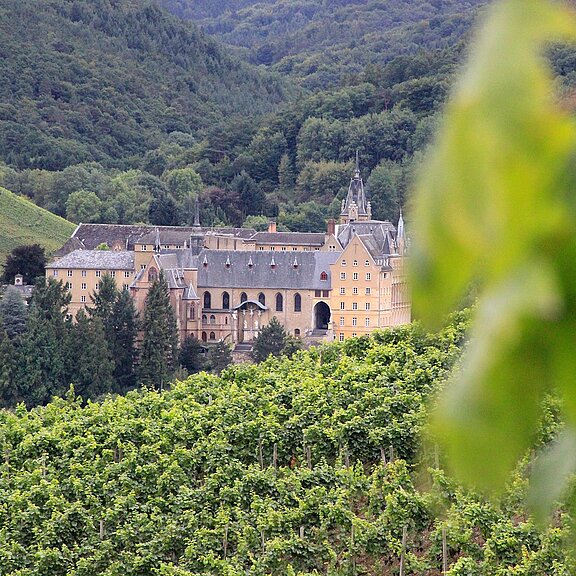 Kloster Kalvarienberg