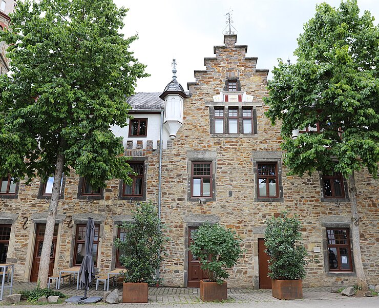 Boutiquehotel Burg Adenbach & Alter Weinbau_außen